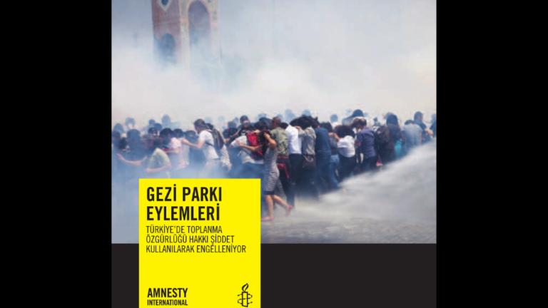 Gezi Parkı Eylemleri Türkiye’de Toplanma Özgürlüğü Hakkı Şiddet Kullanılarak Engelleniyor