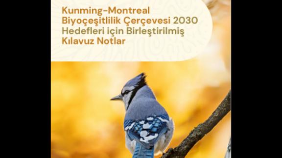 Kunming-Montreal Biyoçeşitlilik Çerçevesi 2030 Hedefleri için Birleştirilmiş Kılavuz Notlar